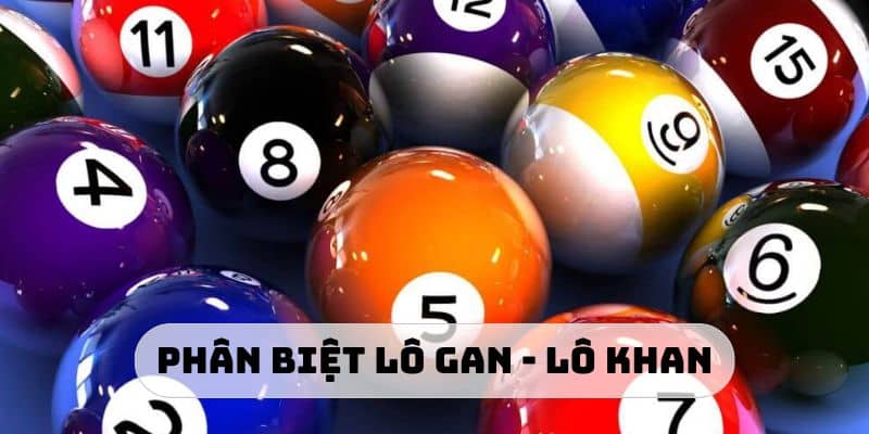 Hướng dẫn phân biệt lô gan với lô khan